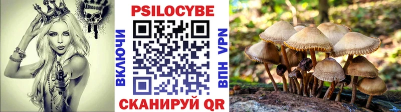 Псилоцибиновые грибы ЛСД  Рудня 